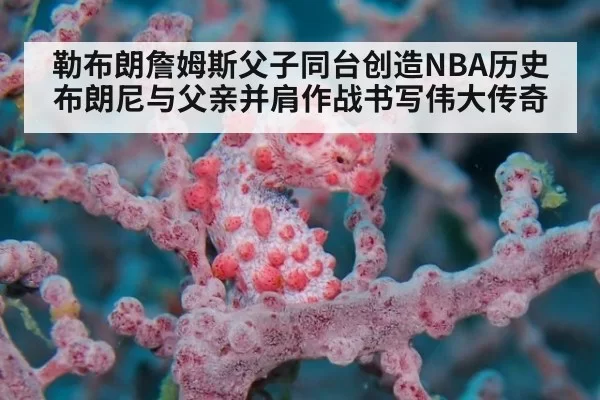 勒布朗詹姆斯父子同台创造NBA历史 布朗尼与父亲并肩作战书写伟大传奇